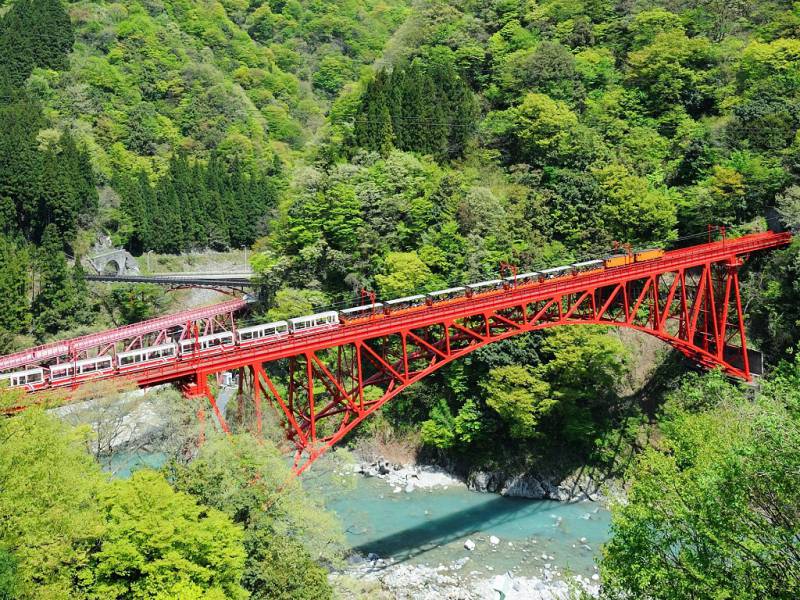 新緑の黒部峡谷の大パノラマ