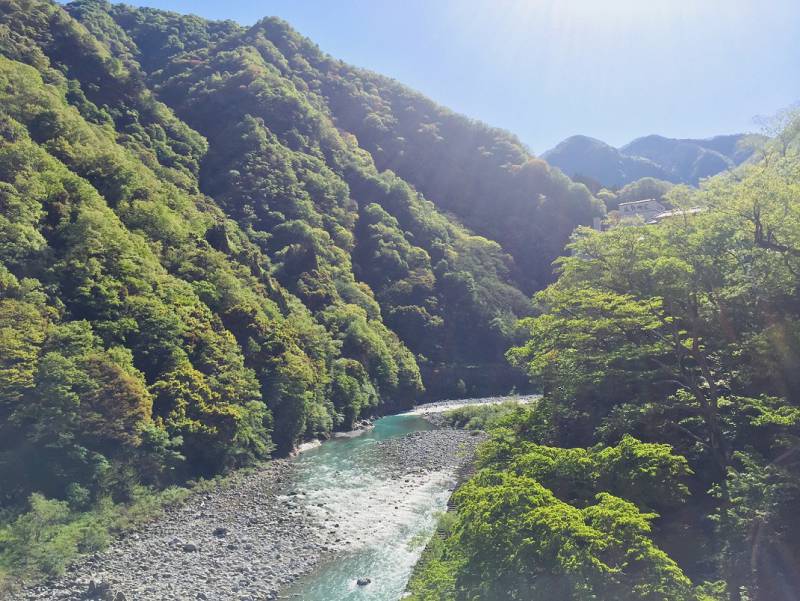 今朝の想面橋からの黒部川（2020.5.8）