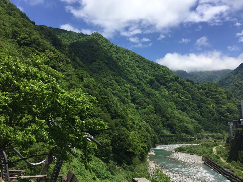 面影橋からの風景