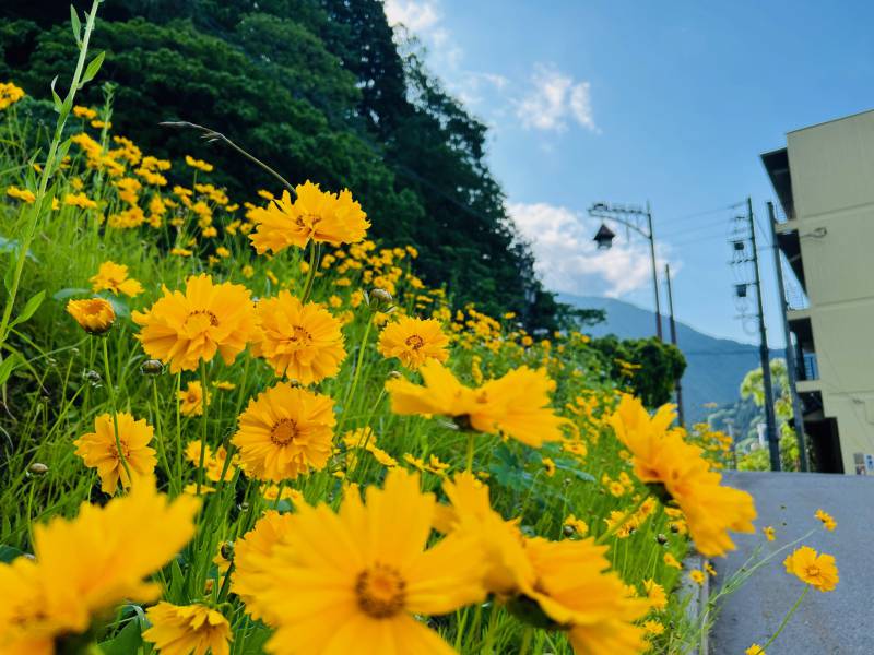 6月【水無月】のスタートです！