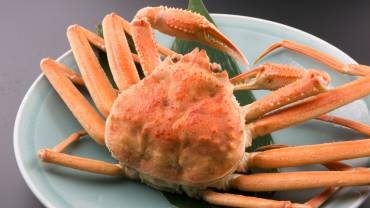 期間限定／富山づくし【極み】